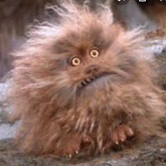 Meet your Posher, Geo - Picture 1 of 1